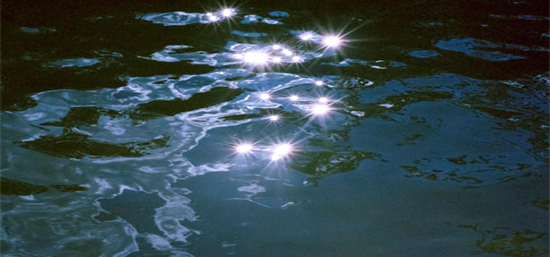 Photogramme d&rsquo;ainsi rêvent les femmes : reflets sur l&rsquo;eau